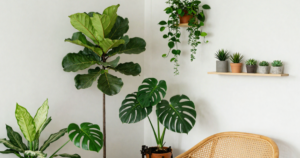 Living Room Ideas